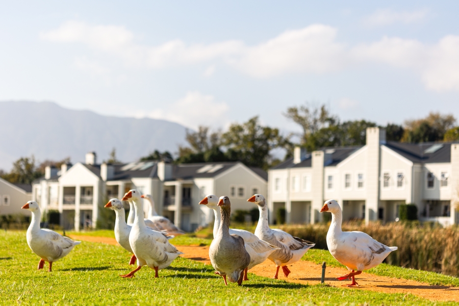 3 Bedroom Property for Sale in Wellington Central Western Cape